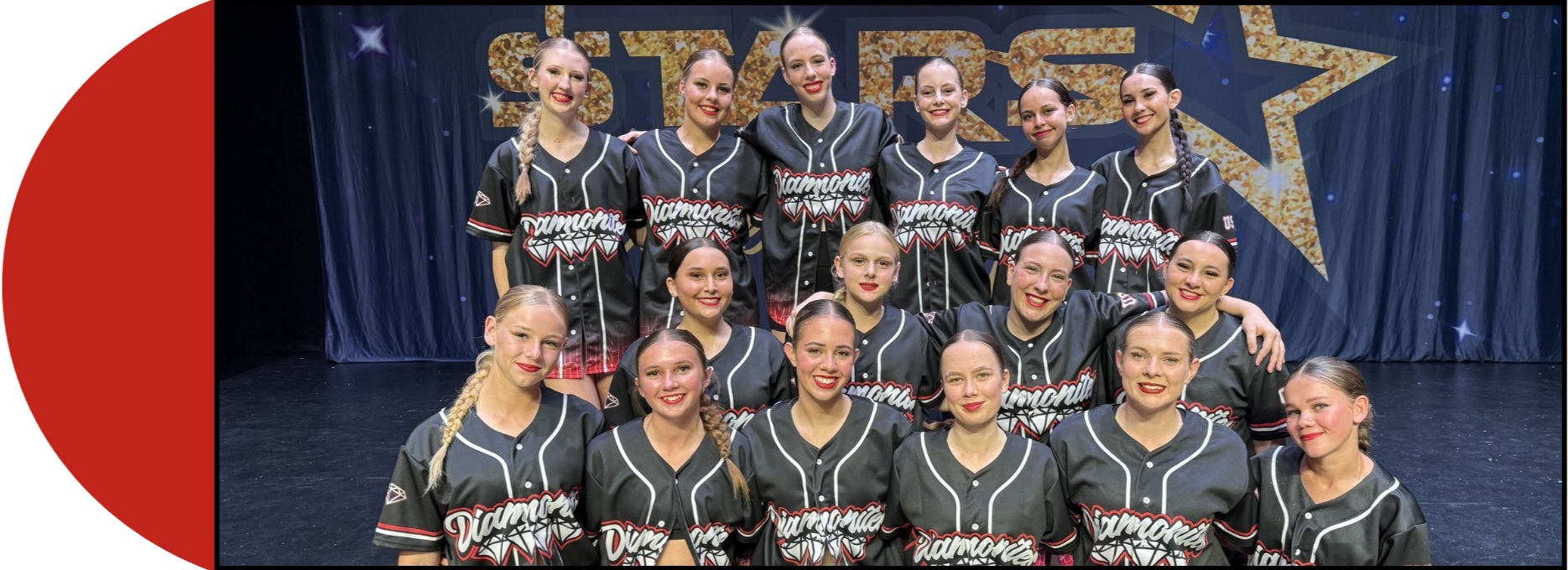 Diamonite banner wide.jpg