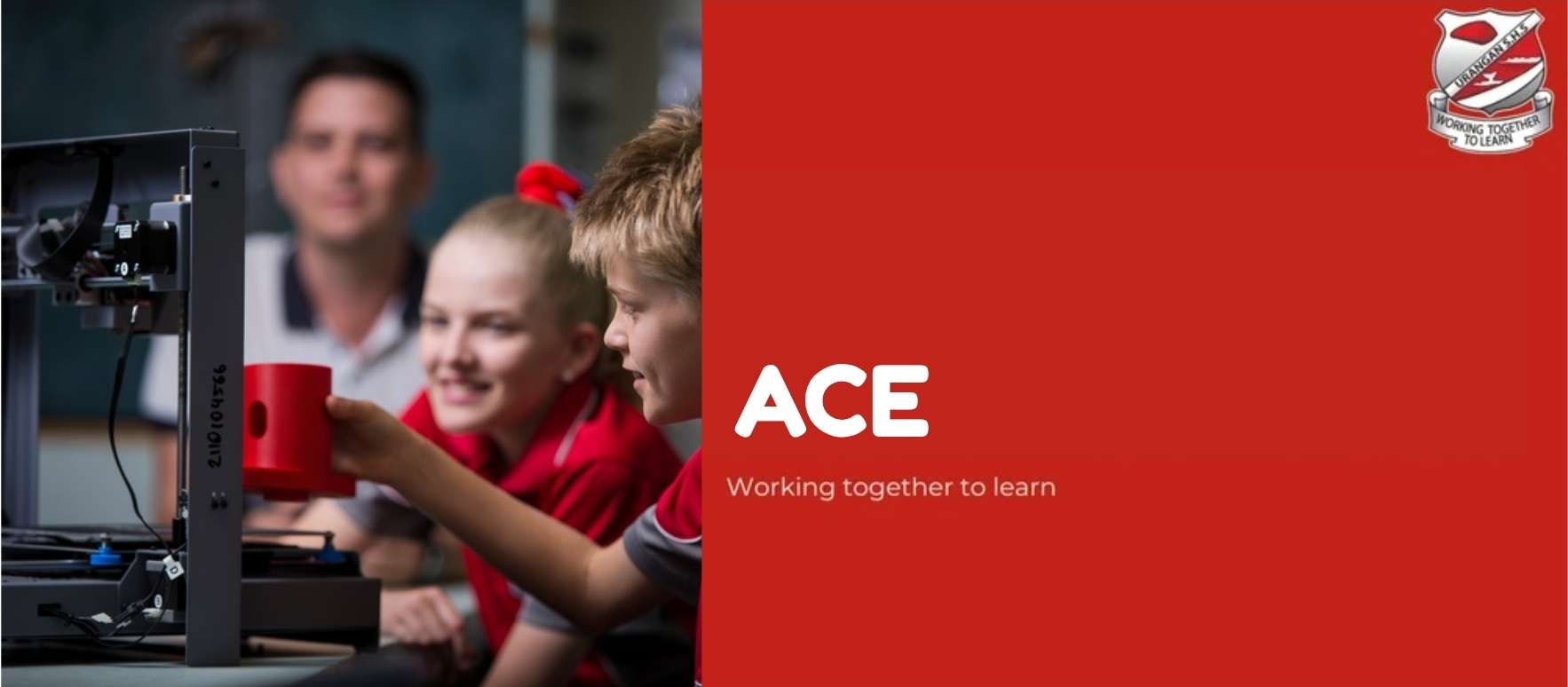 ACE.jpg