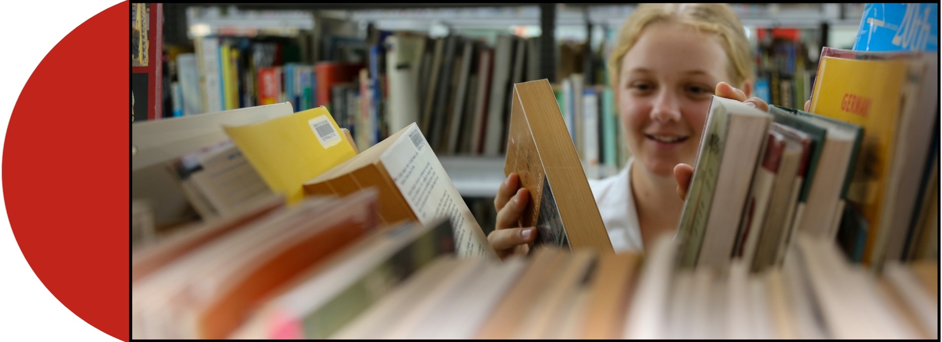 Curriculum Banner wide 2.jpg