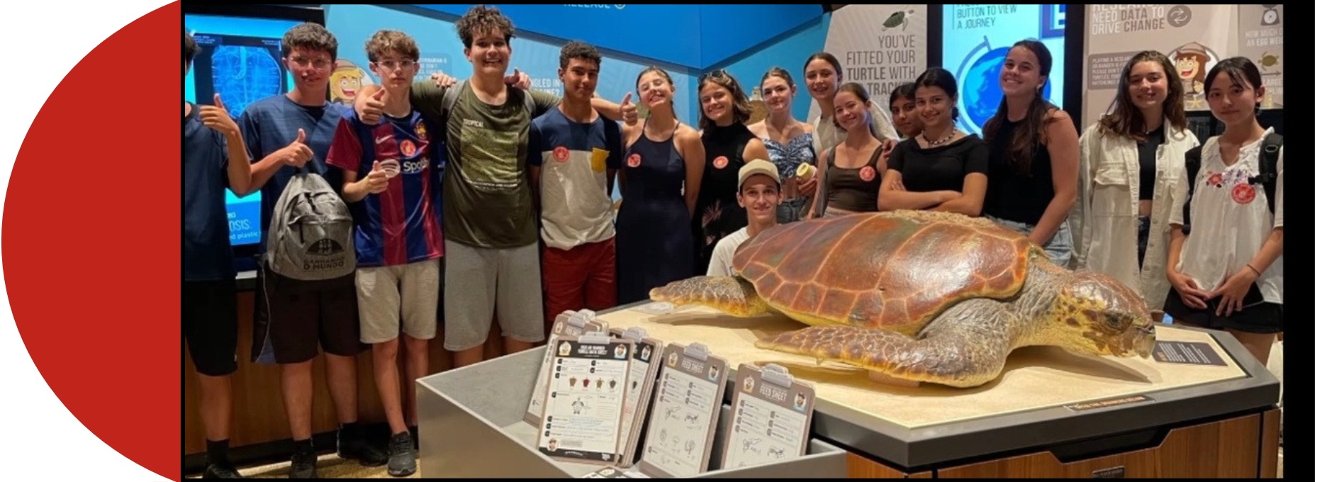 international excursions banner wide.jpg